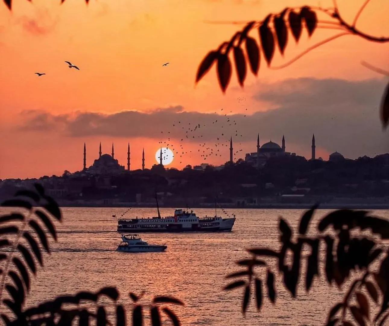 Happy Suite Boutique Hotel Istambul